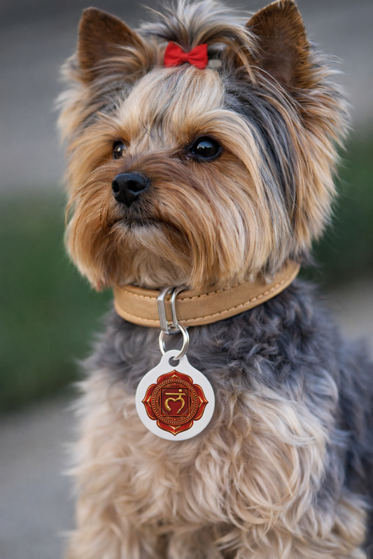 Root Chakra Pet Tag – Grounded Protection for Your Sacred Companion