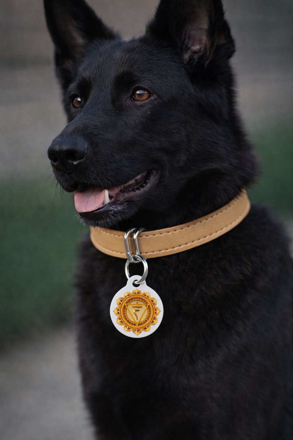 Solar Plexus Chakra Pet Tag – Confidence & Courage for Your Protector