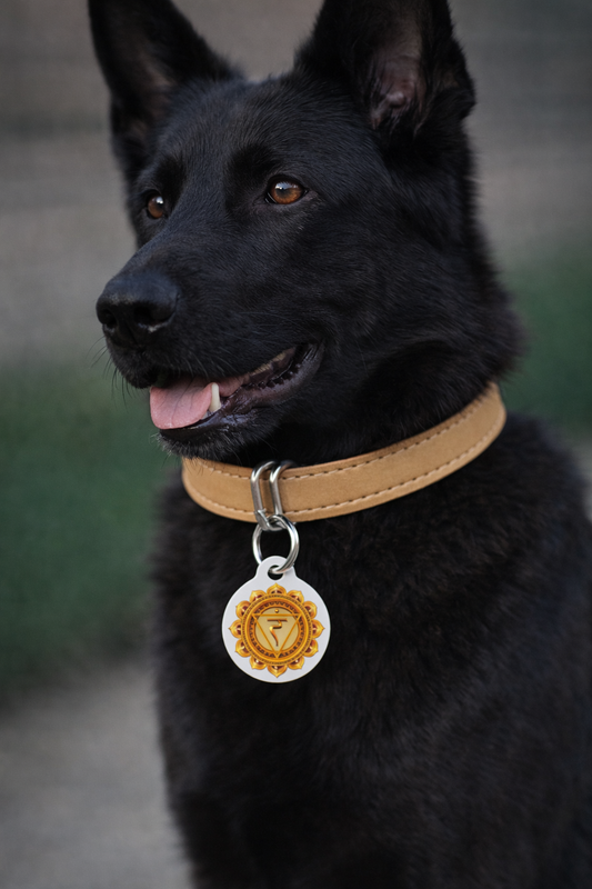 Solar Plexus Chakra Pet Tag – Confidence & Courage for Your Protector