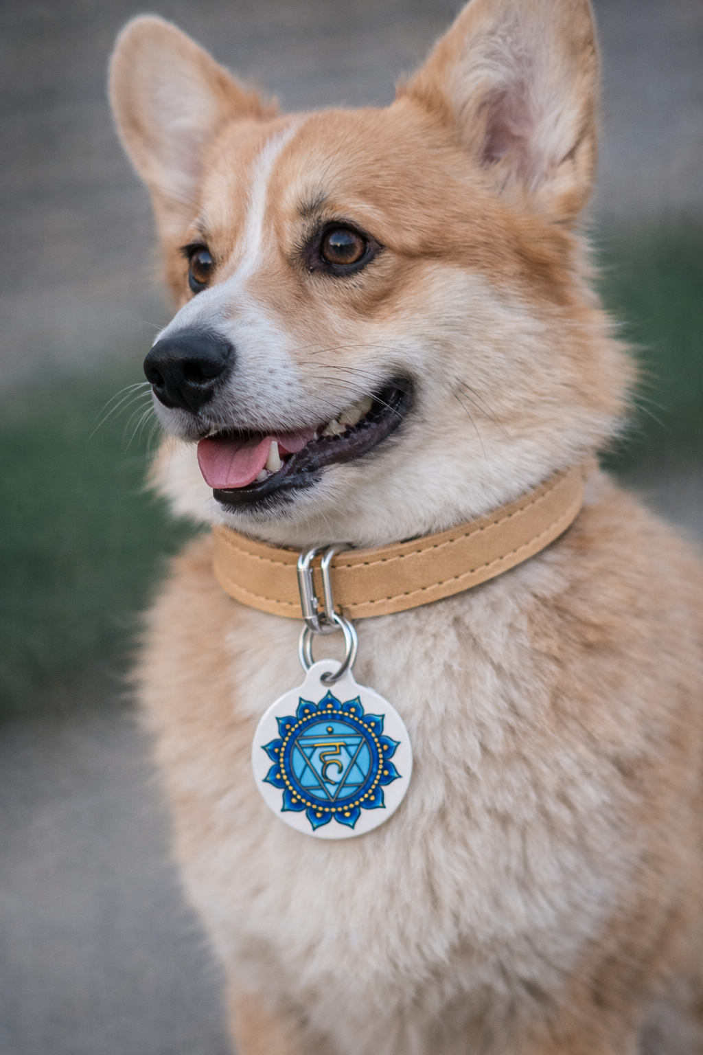 Throat Chakra Pet Tag – Trust & Communication for Your Companion