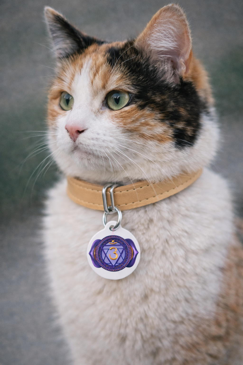 Third Eye Chakra Pet Tag – Intuition & Awareness for Your Guardian
