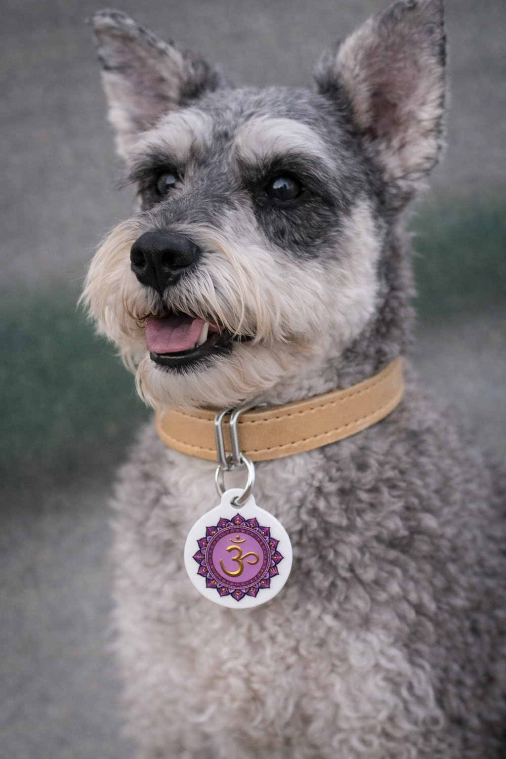 Crown Chakra Pet Tag – Divine Connection for Your Sacred Companion
