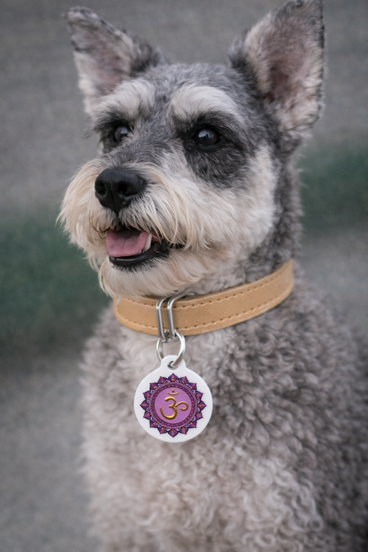 Crown Chakra Pet Tag – Divine Connection for Your Sacred Companion