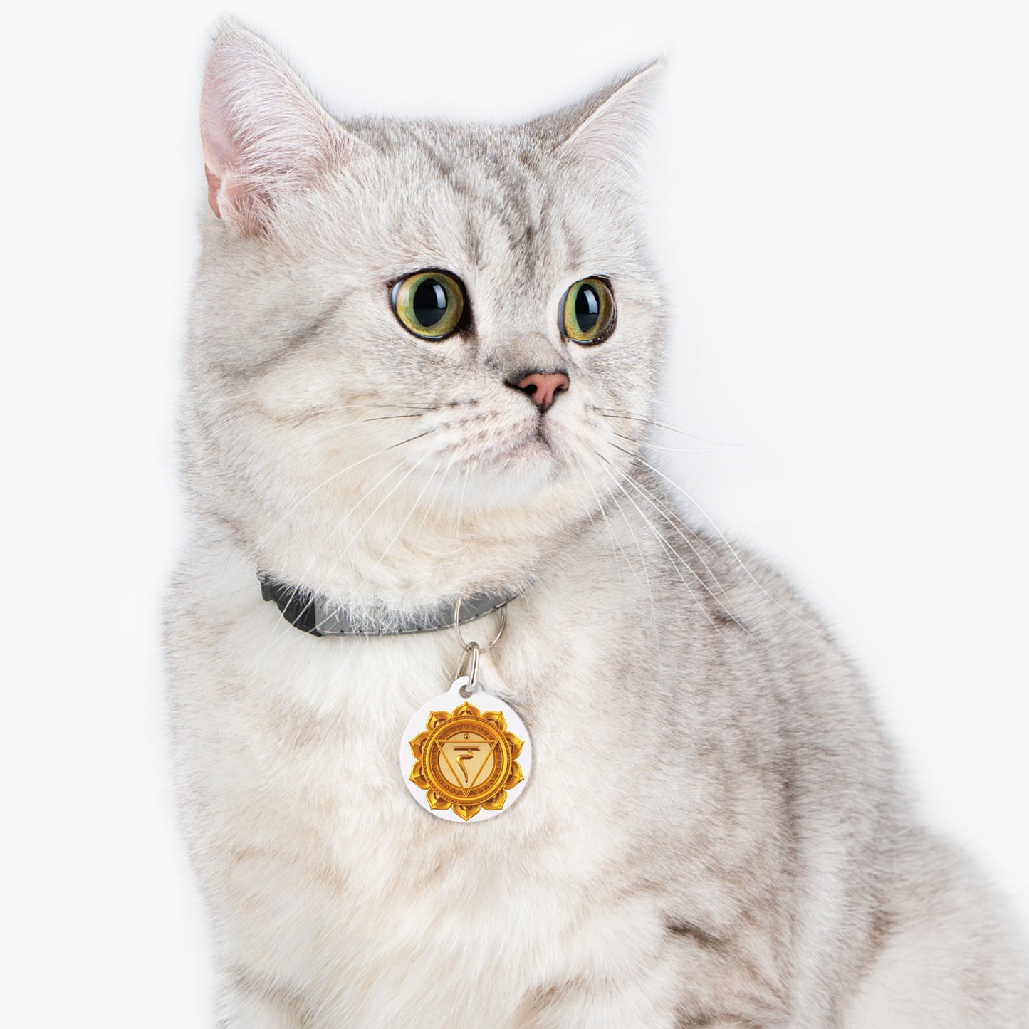 Solar Plexus Chakra Pet Tag – Confidence & Courage for Your Protector