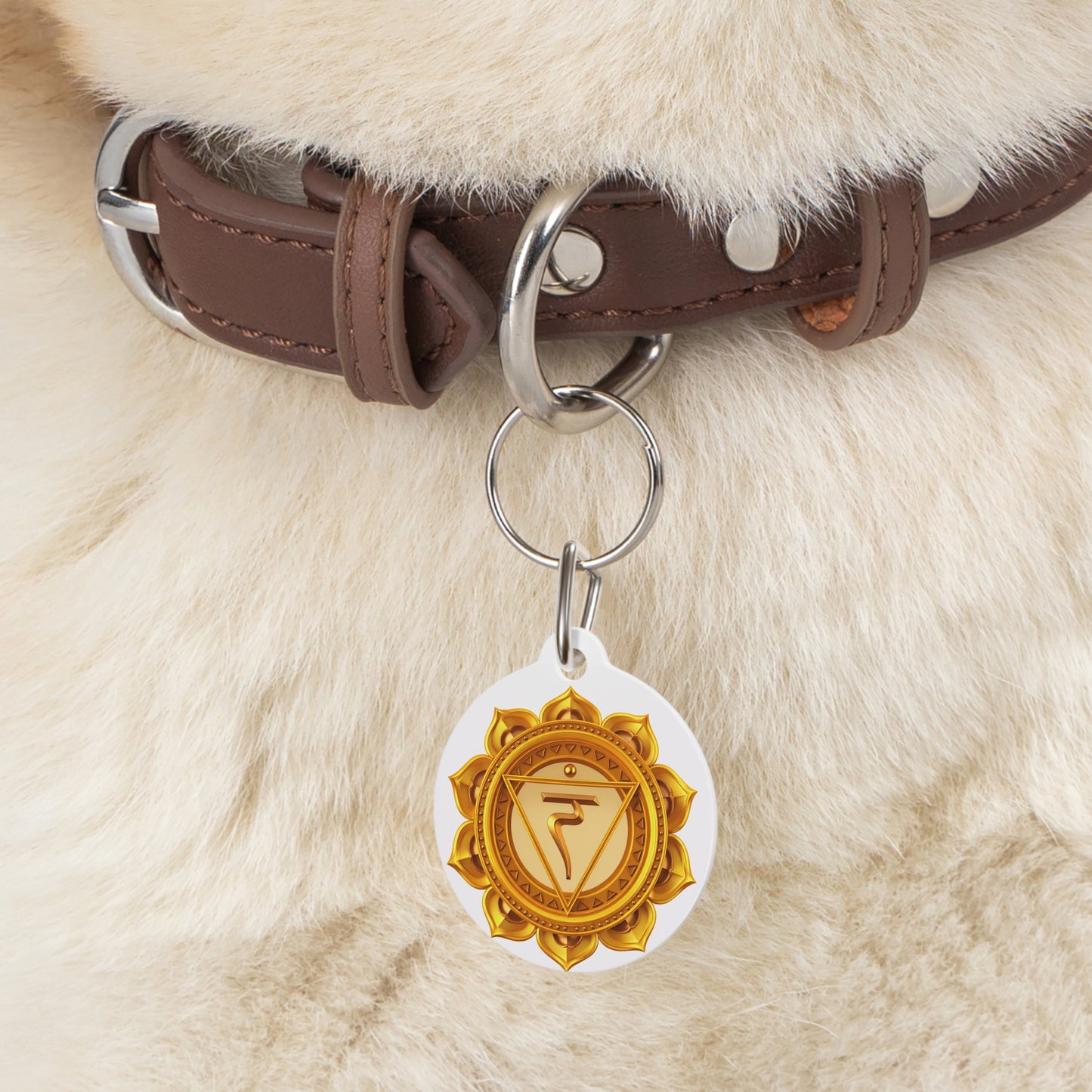 Solar Plexus Chakra Pet Tag – Confidence & Courage for Your Protector